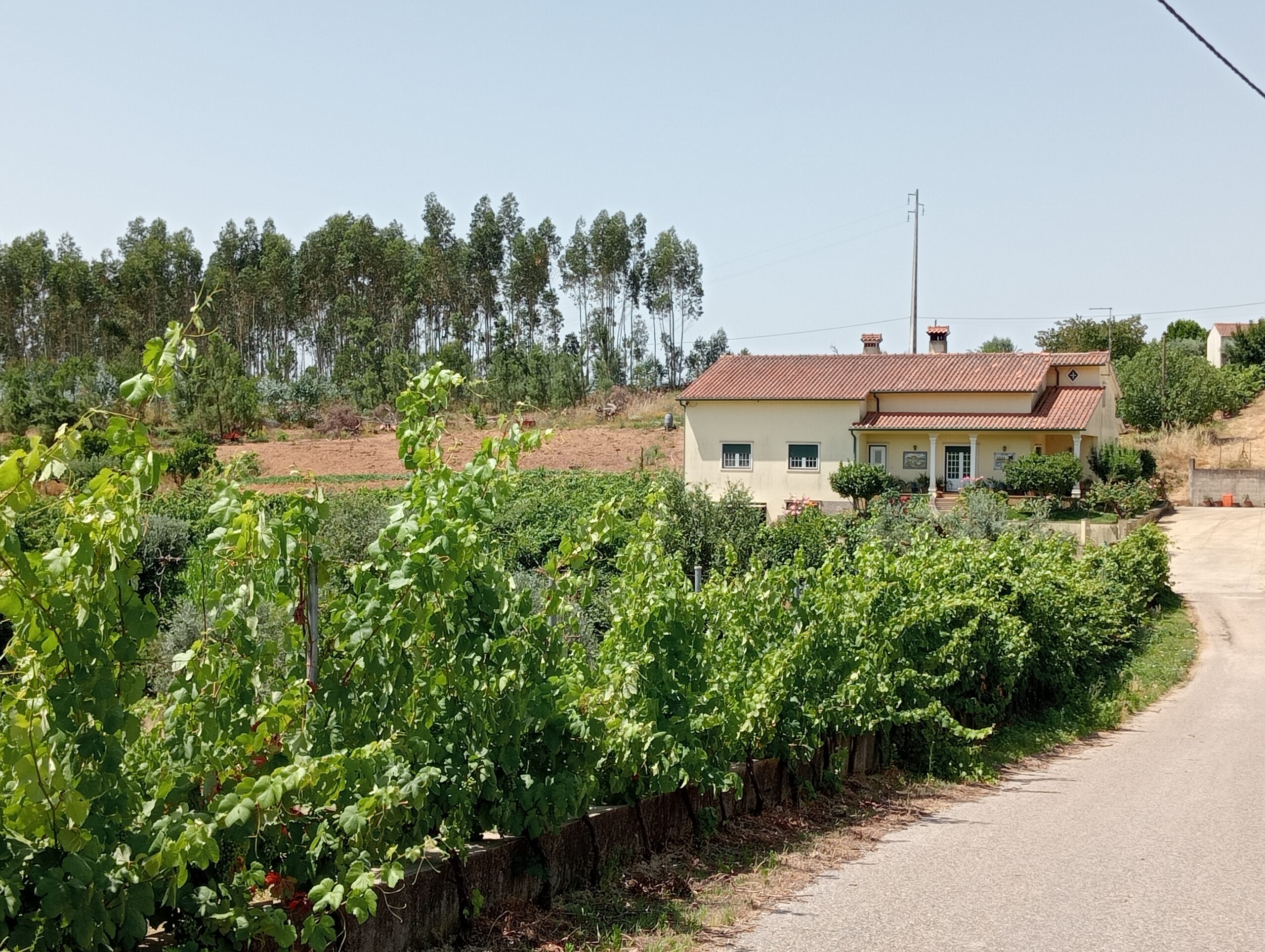 Portugal house with driveway