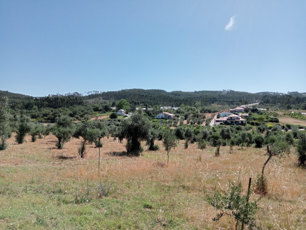 Central Portugal view 2